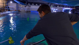 Secrets Of The Aquarium S01E01 XviD-AFG EZTV