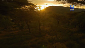 Secrets Of The Lost Ark S01E06 720p HEVC x265-MeGusta EZTV