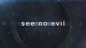 See No Evil S13E04 1080p WEB h264-EDITH EZTV