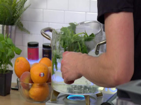 Selena plus Chef S04E05 480p x264-mSD EZTV
