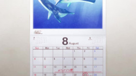 Senpai is an Otokonoko S01E02 XviD-AFG EZTV