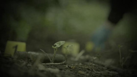 Serial Killer Wives S01E04 XviD-AFG EZTV