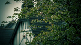 Serial Killer Wives S01E05 720p HDTV x264-NGP EZTV