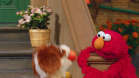 Sesame Street S54E07 720p WEB-DL AAC2 0 H 264-NTb EZTV