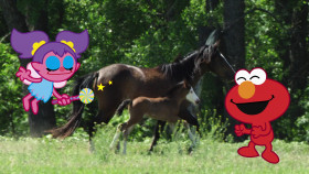 Sesame Street S54E17 The Kitty Sitters 1080p AMZN WEB-DL DDP5 1 H 264-LAZY EZTV