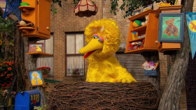 Sesame Street S54E17 The Kitty Sitters 1080p MAX WEB-DL DDP5 1 x264-LAZY EZTV