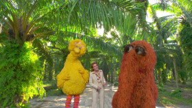 Sesame Street S54E18 720p WEB-DL AAC2 0 H 264-NTb EZTV