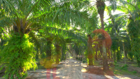 Sesame Street S54E18 Tamirs Water Works 1080p AMZN WEB-DL AAC5 1 H 264-NTb EZTV