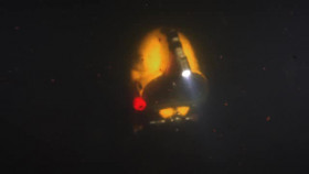 Sewer Divers S01E06 XviD-AFG EZTV