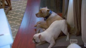 Shahs of Sunset S05E13 Mr Shouheds Wild Ride HDTV x264-CRiMSON EZTV