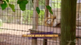 Shaq Life S02E02 Time for Shaqbowl HDTV x264-CRiMSON EZTV