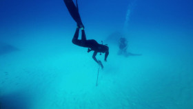 Shark Academy S01E02 Shark Swarm Freedive 1080p WEB h264-B2B EZTV
