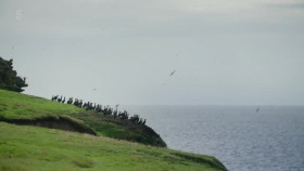 Shetland Scotlands Wondrous Isles S01E01 XviD-AFG EZTV