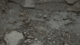 Sierra Madre S01E05 You Have to Deal with Everyone 720p HMAX WEB-DL DD5 1 H 264-playWEB EZTV