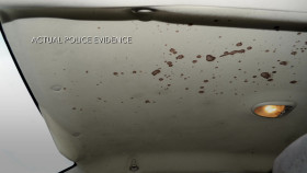 Signs of a Psychopath S08E03 1080p WEB h264-FREQUENCY EZTV