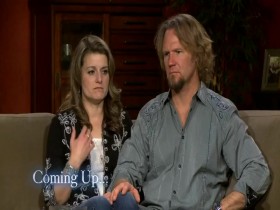 Sister Wives S08E01 Growing Up and Moving Out 480p x264-mSD EZTV