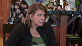 Sister Wives S19E12 XviD-AFG EZTV