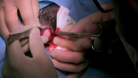 Skin A And E S06E07 1080p WEB H264-CBFM EZTV