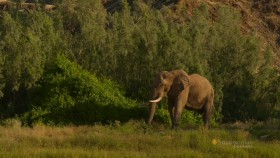 Smithsonian Namibias Wild Wonders HDTV x264 720p AC3 mkv EZTV