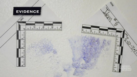 Snapped S34E19 720p WEBRip x264-BAE EZTV