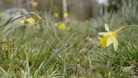 Snapped S34E24 1080p WEBRip x264-BAE EZTV