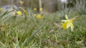 Snapped S34E24 720p WEBRip x264-BAE EZTV