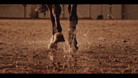 Song Exploder S02 720p NF WEBRip DDP5 1 x264-NTb EZTV