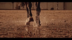 Song Exploder S02E04 1080p WEB H264-STRONTiUM EZTV