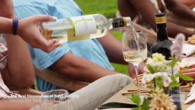 Southern Charm S07E10 Treehouse of Cards Pt2 720p HDTV x264-CRiMSON EZTV