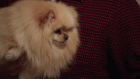 Southern Charm S09E04 In Vino Veritas 720p AMZN WEB-DL DDP2 0 H 264-NTb EZTV