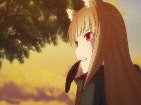 Spice And Wolf MERCHANT MEETS THE WISE WOLF S01E08 480p x264-mSD EZTV