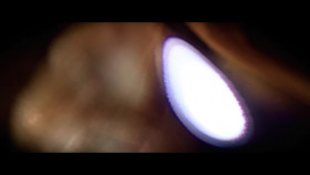 Spice Up Our Love S01E01 1080p WEB h264-EDITH EZTV