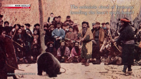 Spiritual Explorers S04E04 Animism 720p HDTV x264-DARKFLiX EZTV