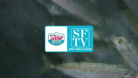 Sport Fishing Television Phenomenon S01E07 XviD-AFG EZTV