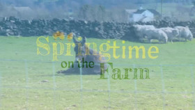 Springtime On The Farm S06E07 XviD-AFG EZTV