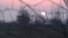 Springtime on the Farm S07E01 1080p HDTV H264-DARKFLiX EZTV