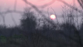 Springtime on the Farm S07E01 XviD-AFG EZTV