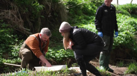 Springwatch S19E10 480p x264-RUBiK EZTV