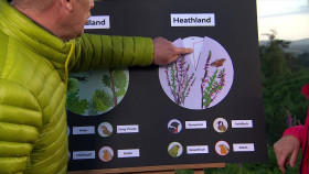 Springwatch S19E11 1080p HDTV H264-DARKFLiX EZTV