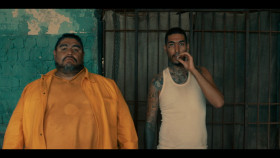 Stags 2024 S01E01 1080p x265-ELiTE EZTV