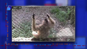 Stephen Colbert 2024 10 02 Andrew Garfield 720p WEB H264-JEBAITED EZTV