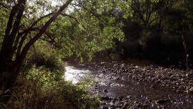 Stories Of The Mediterranean Forest S01E03 1080p WEB H264-CBFM EZTV