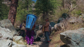 Storyville S2024E22 Until I Fly 1080p iP WEB-DL AAC2 0 HFR H 264-RAWR EZTV