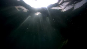 Strange Evidence S06E03 Curse of Zombie Island XviD-AFG EZTV