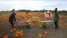 Strictly Come Dancing S22E11 1080p HDTV H264-DARKFLiX EZTV