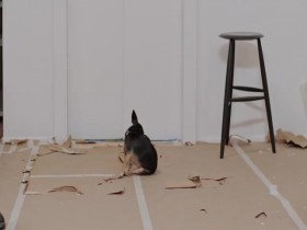 Stylish with Jenna Lyons S01E02 480p x264-mSD EZTV