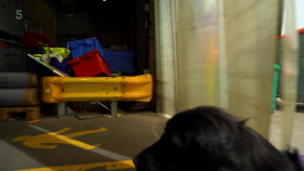 Super Dogs With Extraordinary Jobs S01E02 1080p HDTV H264-DARKFLiX EZTV