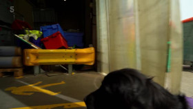 Super Dogs With Extraordinary Jobs S01E02 XviD-AFG EZTV