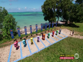 Survivor AU S11E18 480p x264-mSD EZTV