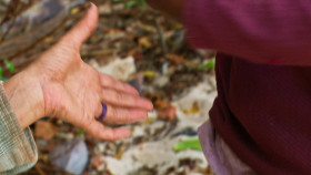 Survivor S46E12 Mamma Bear 1080p AMZN WEB-DL DDP5 1 H 264-FLUX EZTV